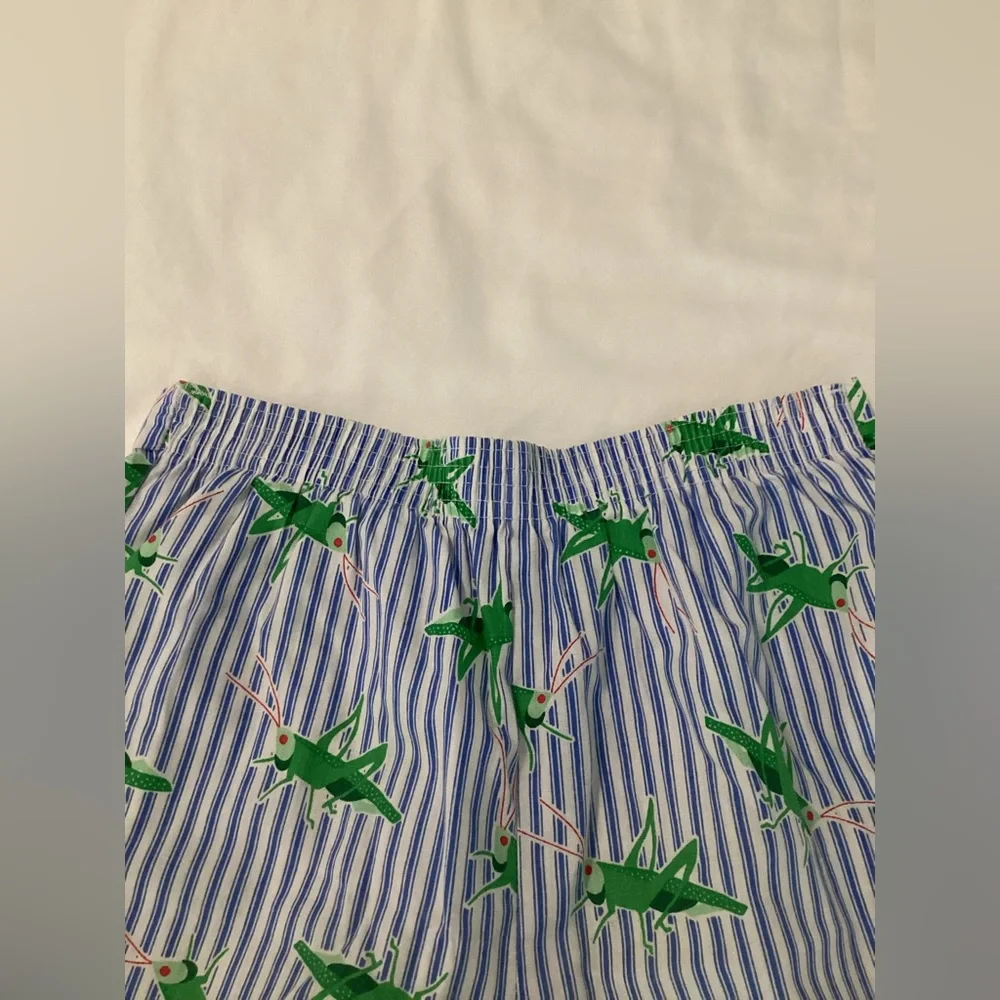 Catherine Rebecca vtg grasshopper short set - Picture 4 of 8